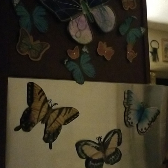 Meet your Posher, Lillian - Picture 16 of 16